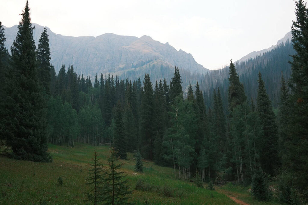 Lush green meadow surrounded by tall pine trees with rugged mountain peaks rising in the background in the San Juan Mountains of Colorado.